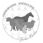 Osthéopathe Animalier - Jeanne Buchon