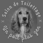 Salon de toilettage - Un poil plus zen